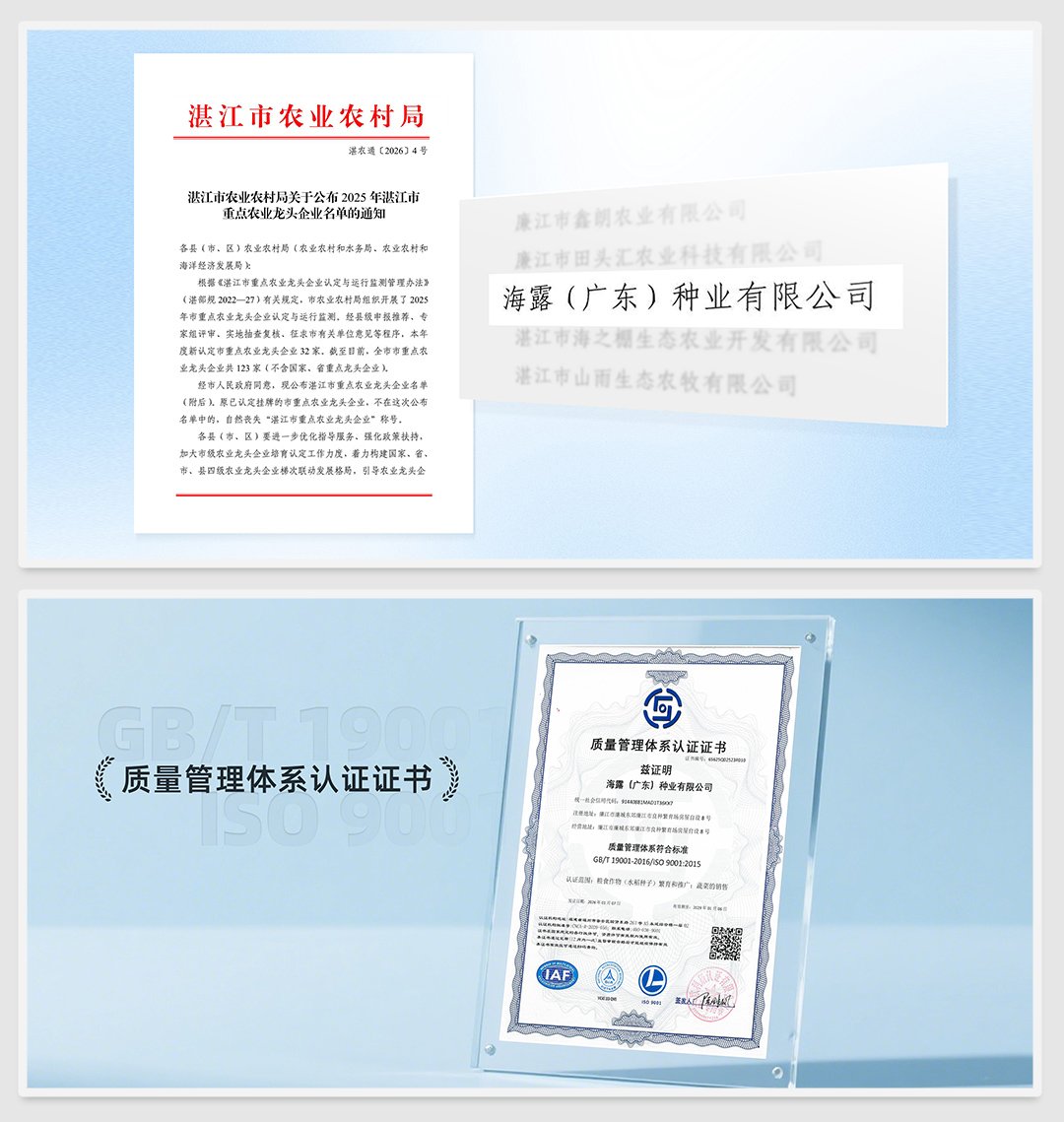 J9旗舰厅(中国区)官方网站