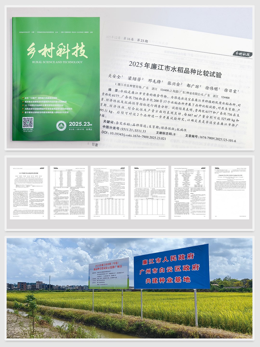 J9旗舰厅(中国区)官方网站